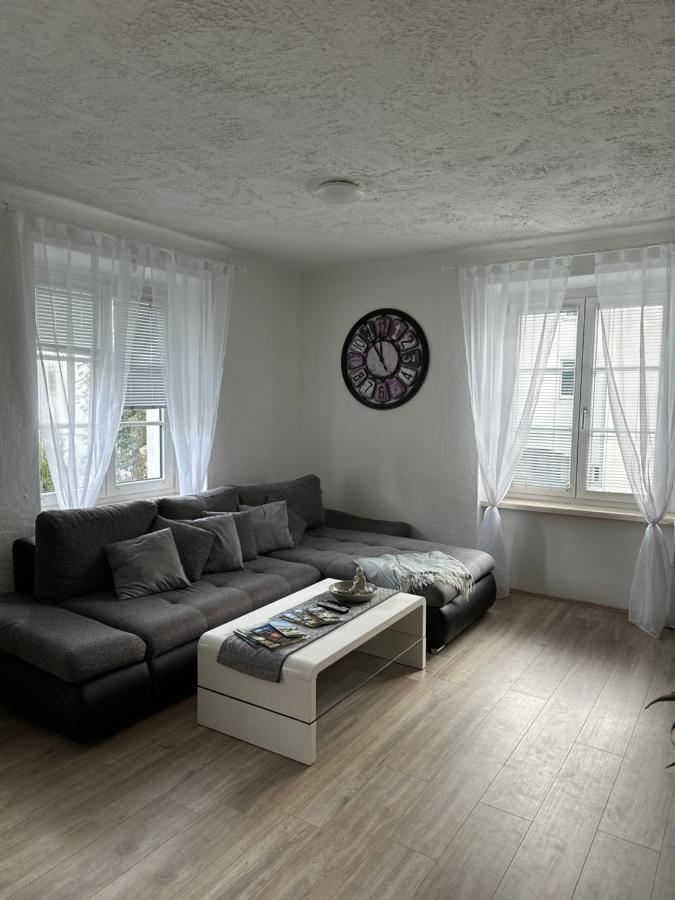 Gemuetliche Wohnung In Zentraler Lage グラーツ エクステリア 写真